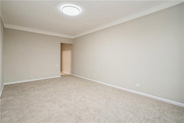 unfurnished room with carpet and crown molding