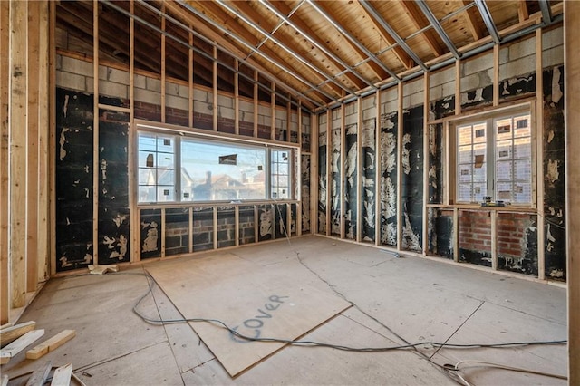 miscellaneous room with vaulted ceiling