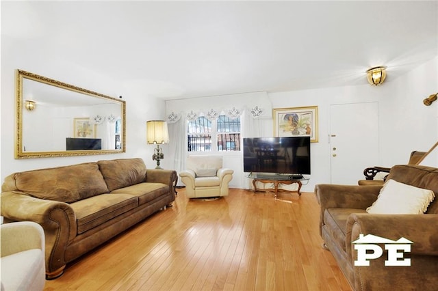 living room with wood-type flooring