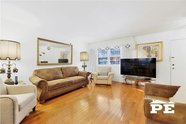 living room with wood-type flooring