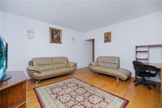 living room with hardwood / wood-style floors