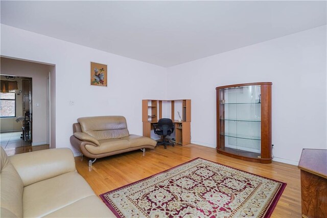 living room featuring hardwood / wood-style floors