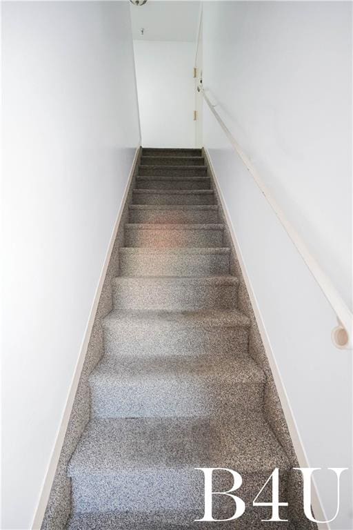 stairs featuring carpet floors