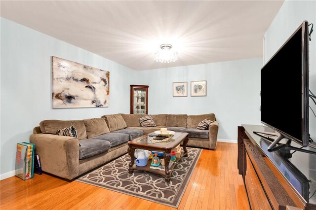 living room featuring wood-type flooring