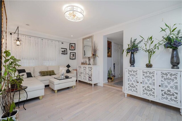 living room featuring crown molding and light hardwood / wood-style flooring