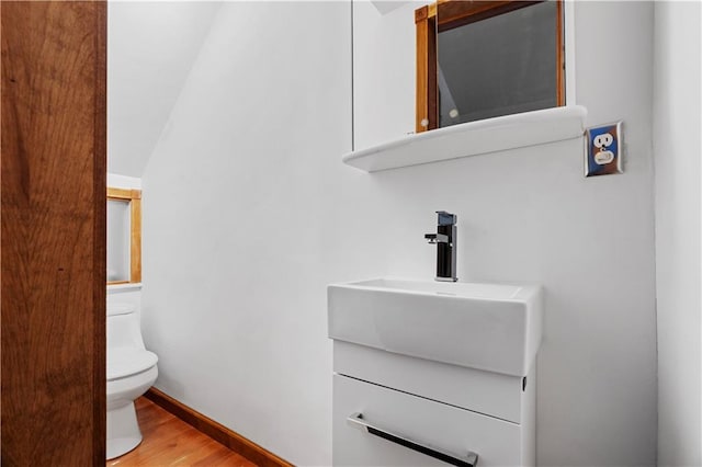 bathroom featuring vanity, hardwood / wood-style flooring, and toilet