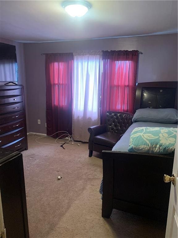 bedroom featuring carpet flooring