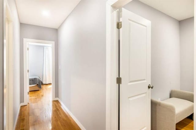 hallway featuring wood-type flooring