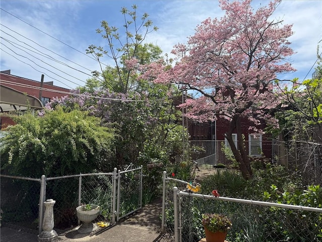 552 17th St, Brooklyn, NY 11215 - view of yard