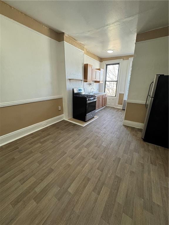 kitchen with stainless steel appliances, dark hardwood / wood-style floors, sink, and light brown cabinets