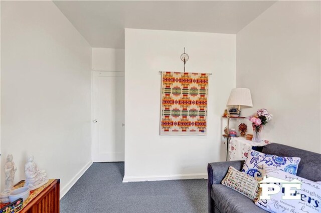 sitting room with dark colored carpet