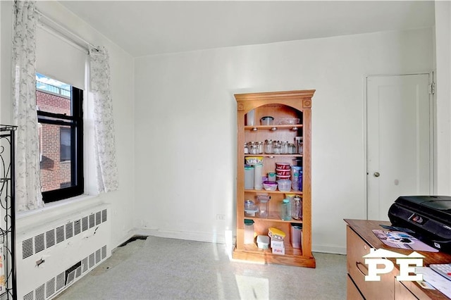 interior space featuring radiator heating unit