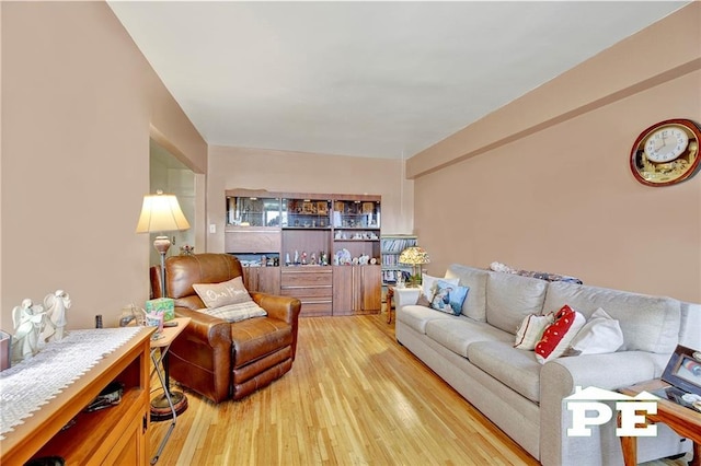 living room with hardwood / wood-style floors