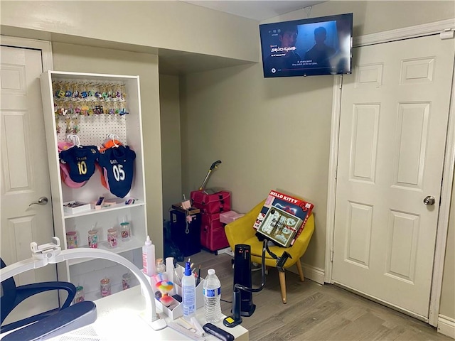 recreation room with wood finished floors