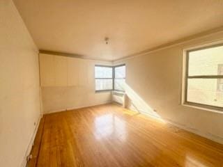 unfurnished room with crown molding and wood-type flooring