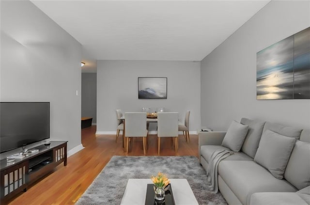 living room with hardwood / wood-style flooring