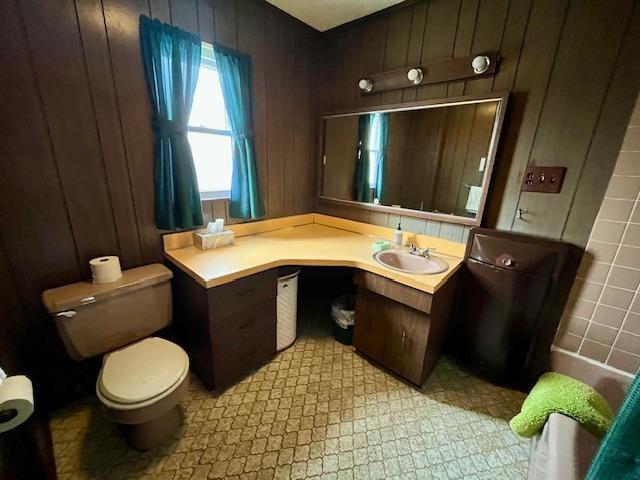 bathroom with wood walls, vanity, and toilet