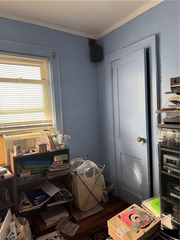 misc room with crown molding and wood-type flooring