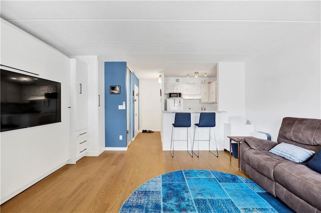 10108 4th Ave Unit 25A, Brooklyn, NY 11209 - living area featuring light wood finished floors and baseboards