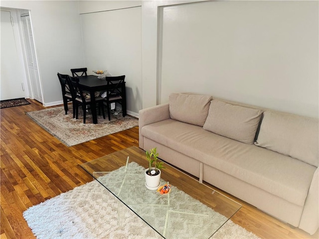 living room featuring wood-type flooring