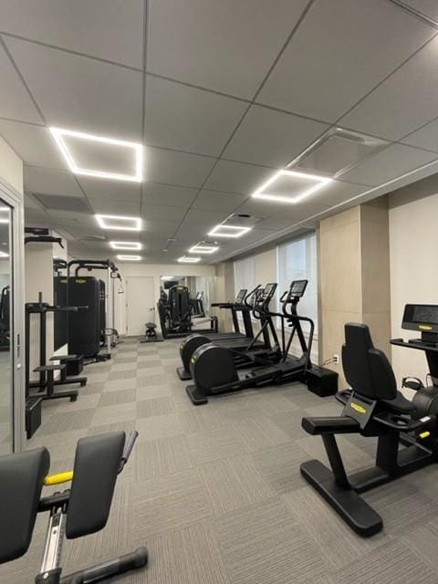 exercise room featuring a paneled ceiling and light colored carpet