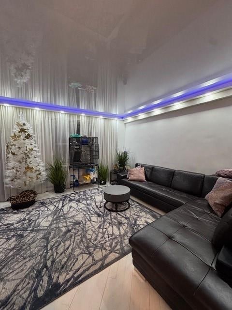 living room with hardwood / wood-style floors