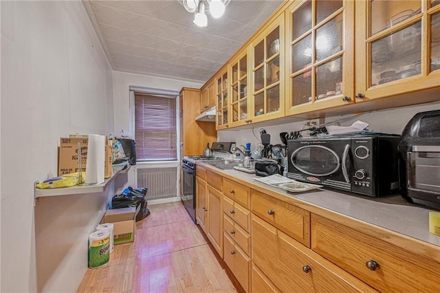 kitchen featuring range with gas cooktop and light hardwood / wood-style floors