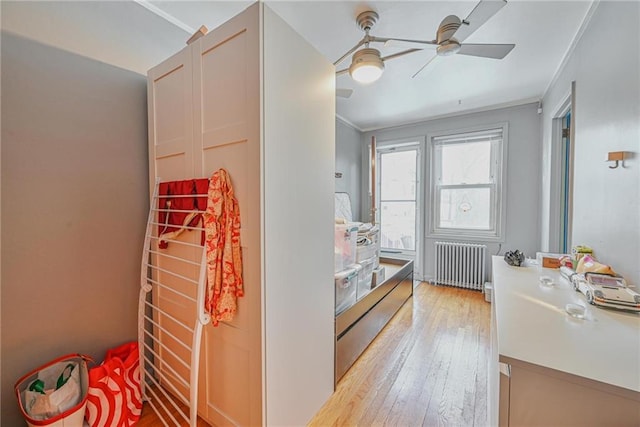 kitchen featuring crown molding, ceiling fan, radiator heating unit, and light hardwood / wood-style floors