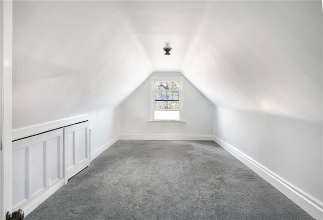 additional living space with lofted ceiling and carpet