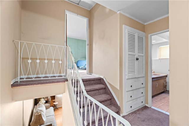 stairs featuring carpet flooring, baseboards, and ornamental molding