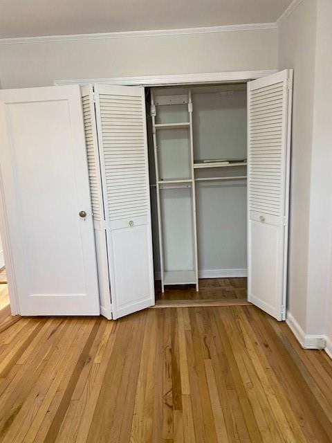 298 Bay 14th St, Brooklyn, NY 11214 - unfurnished bedroom with crown molding, a closet, light wood finished floors, and baseboards