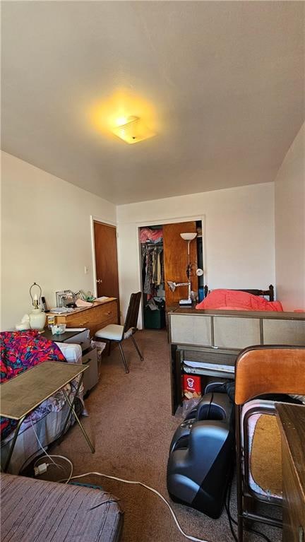 carpeted bedroom featuring a closet