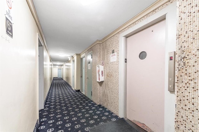 hall with carpet flooring