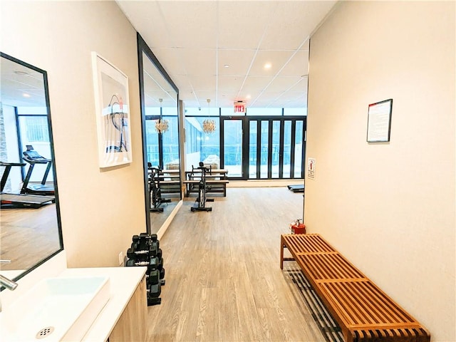 interior space featuring sink, floor to ceiling windows, light hardwood / wood-style floors, and a drop ceiling