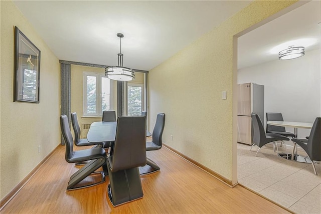 dining room with light hardwood / wood-style floors