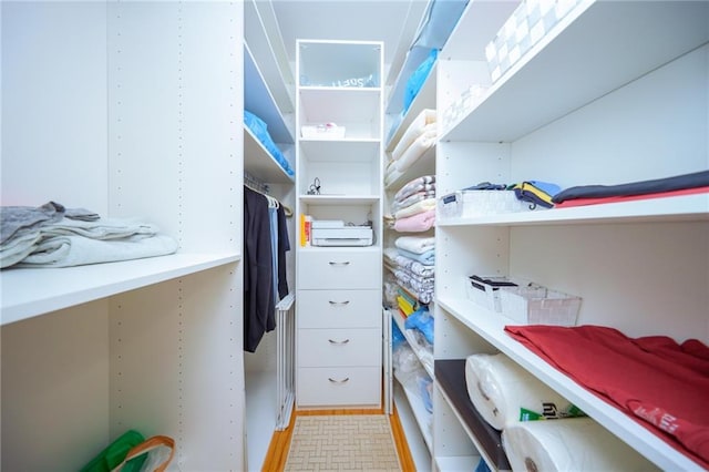 40 Oceana Dr W Unit 2G, Brooklyn, NY 11235 - walk in closet with light wood-style flooring