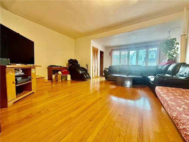 living room featuring light wood-type flooring
