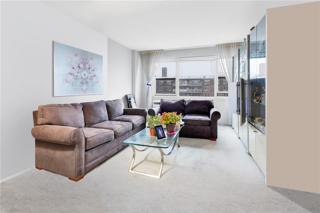 living area featuring carpet flooring