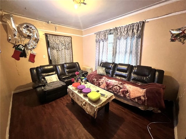 living room with radiator and hardwood / wood-style flooring