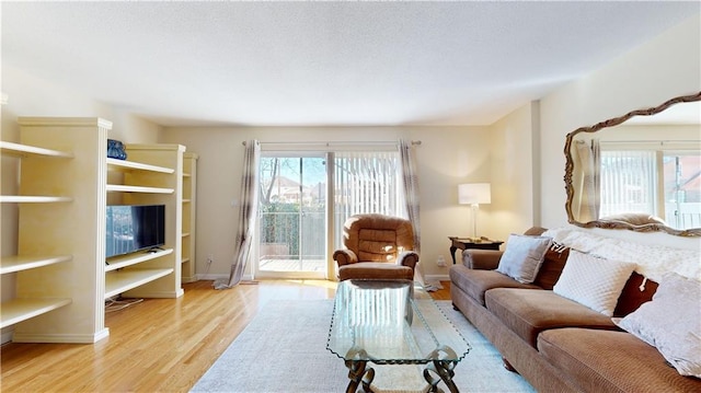 living room featuring light wood-type flooring and a healthy amount of sunlight