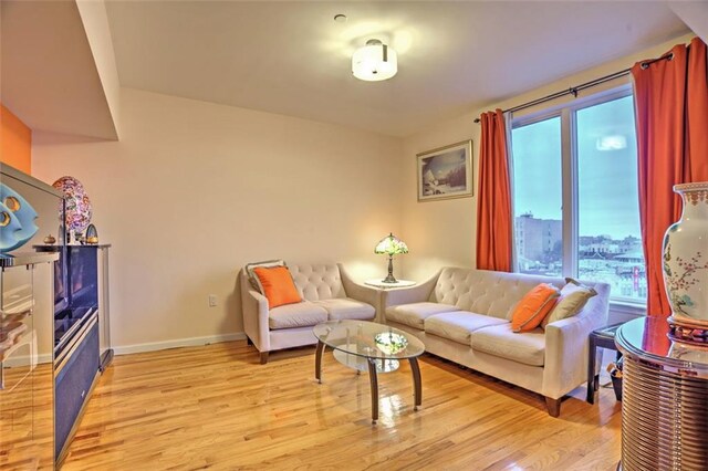1740 W 4th St Unit 4C, Brooklyn, NY 11223 - living area with light wood-type flooring and baseboards