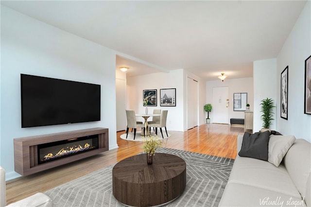 living room with a glass covered fireplace and wood finished floors