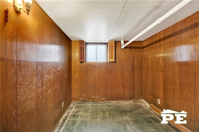 basement with wooden walls