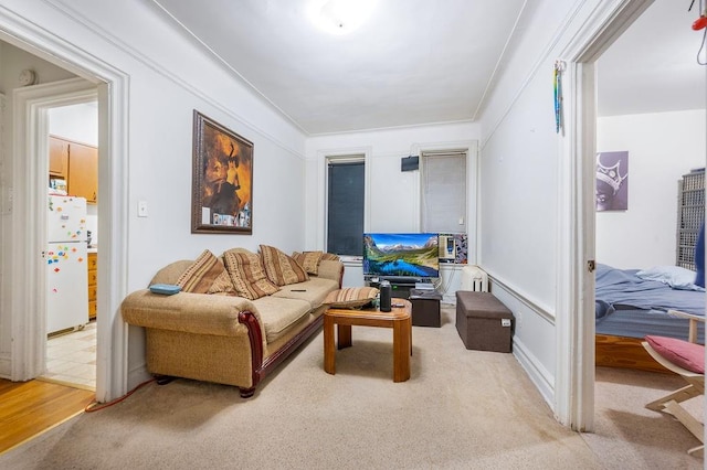 living area featuring carpet flooring