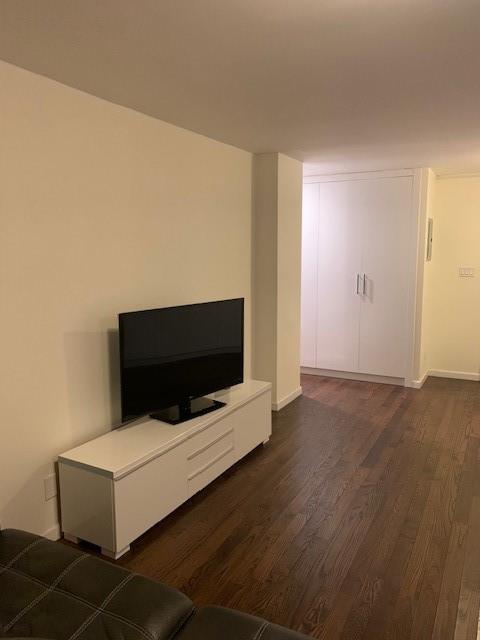 living area featuring baseboards and dark wood-type flooring