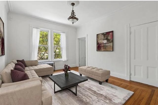 living area featuring baseboards, crown molding, and wood finished floors