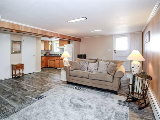 living room featuring dark wood-type flooring, a baseboard radiator, and crown molding