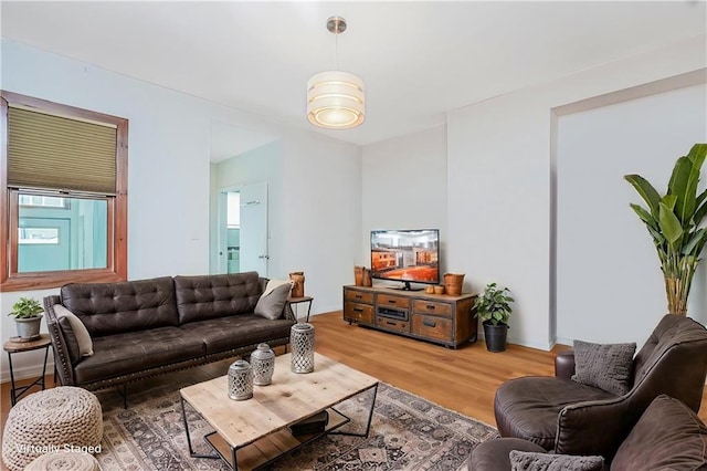 living room featuring wood finished floors