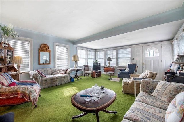 living room featuring carpet floors