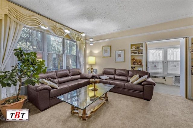 living area featuring radiator, carpet flooring, plenty of natural light, and a textured ceiling